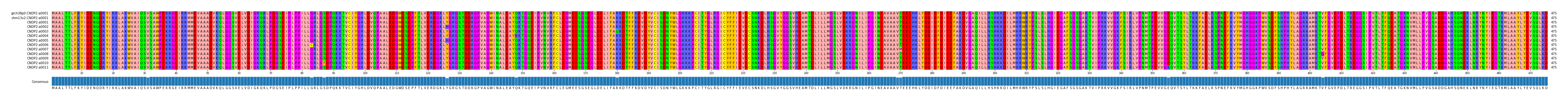 Multiple Alignments (by translate haplotype frequency)