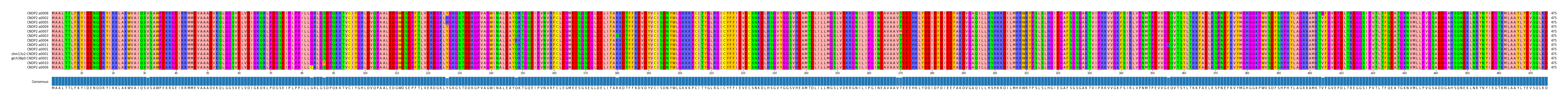 Multiple Alignments (by translate haplotype similarity)