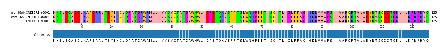 Multiple Alignments (by translate haplotype similarity)