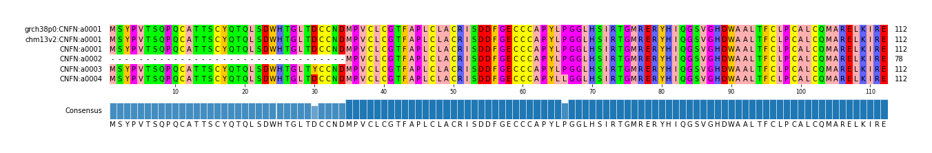 Multiple Alignments (by translate haplotype frequency)