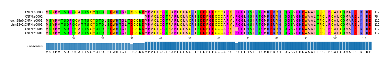 Multiple Alignments (by translate haplotype similarity)