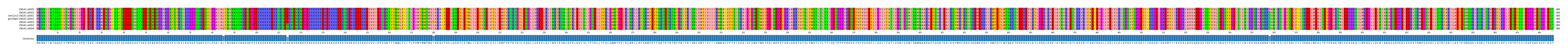 Multiple Alignments (by translate haplotype similarity)