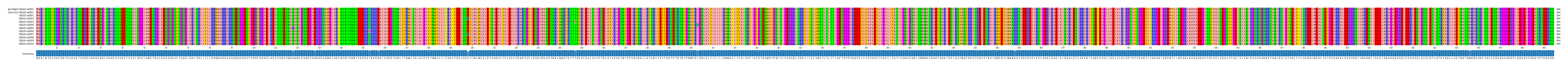 Multiple Alignments (by translate haplotype frequency)