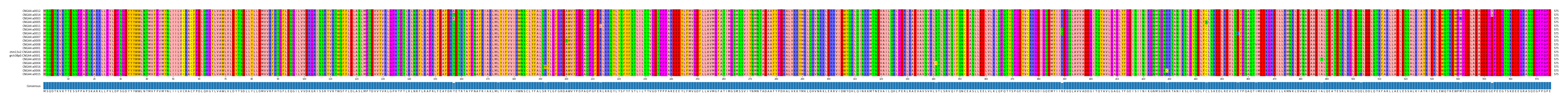 Multiple Alignments (by translate haplotype similarity)