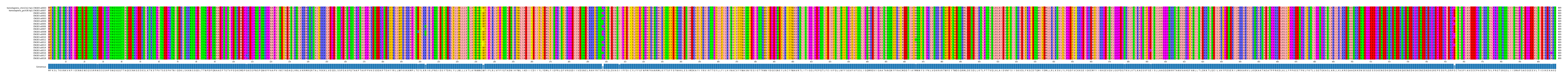 Multiple Alignments (by translate haplotype frequency)