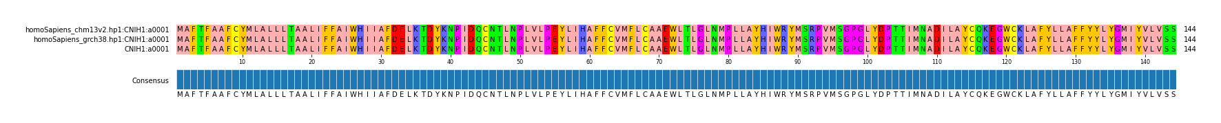 Multiple Alignments (by translate haplotype similarity)