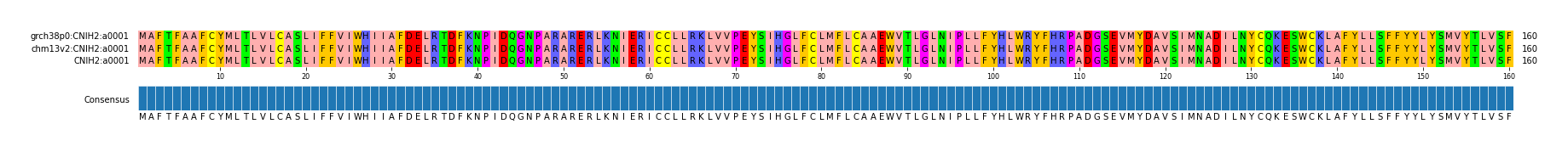 Multiple Alignments (by translate haplotype similarity)