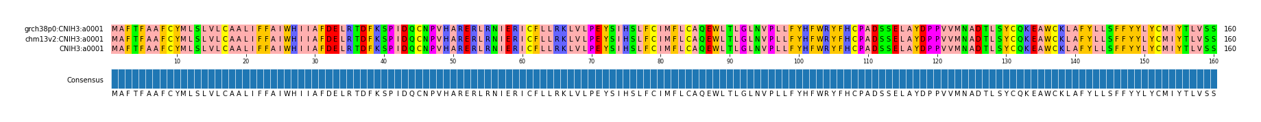 Multiple Alignments (by translate haplotype similarity)
