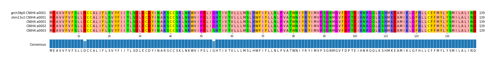 Multiple Alignments (by translate haplotype frequency)
