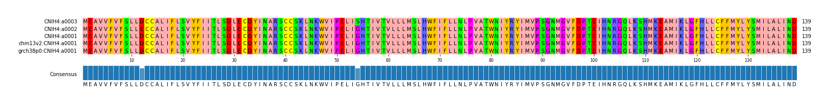 Multiple Alignments (by translate haplotype similarity)