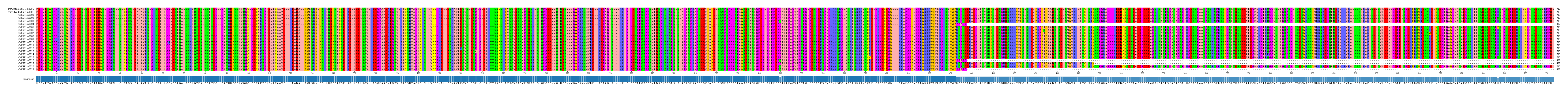 Multiple Alignments (by translate haplotype frequency)