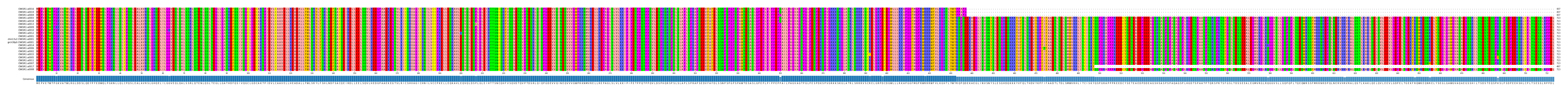 Multiple Alignments (by translate haplotype similarity)