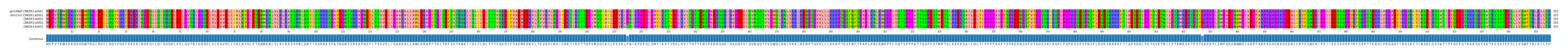 Multiple Alignments (by translate haplotype frequency)