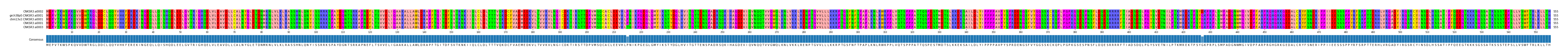 Multiple Alignments (by translate haplotype similarity)