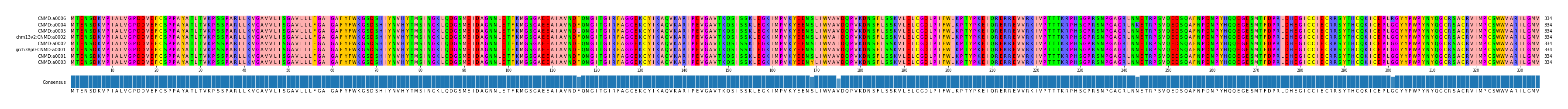 Multiple Alignments (by translate haplotype similarity)
