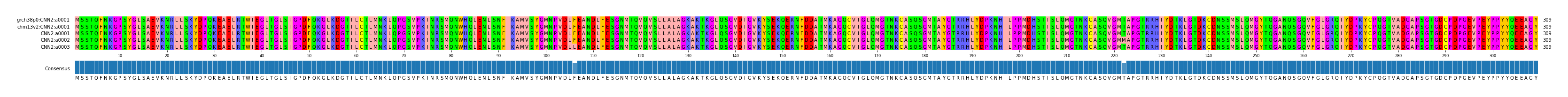 Multiple Alignments (by translate haplotype frequency)