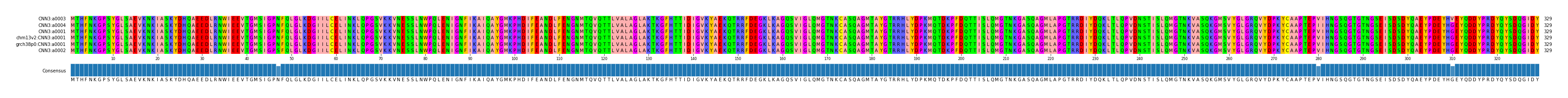 Multiple Alignments (by translate haplotype similarity)