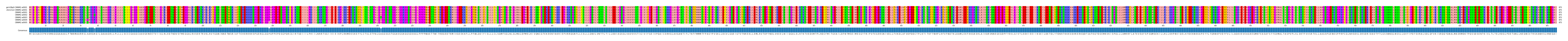 Multiple Alignments (by translate haplotype frequency)