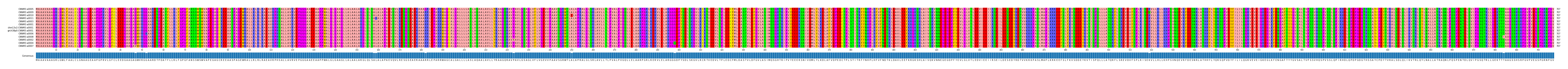Multiple Alignments (by translate haplotype similarity)