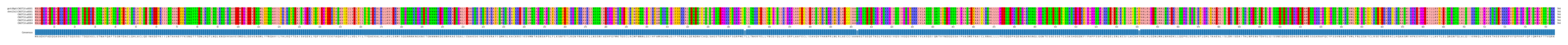 Multiple Alignments (by translate haplotype frequency)