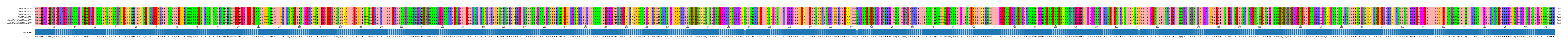 Multiple Alignments (by translate haplotype similarity)