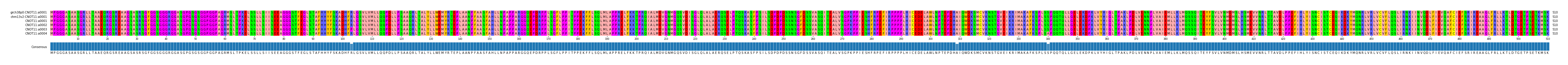 Multiple Alignments (by translate haplotype frequency)