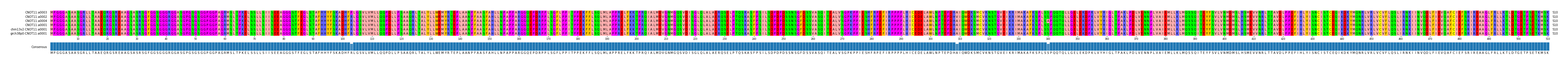 Multiple Alignments (by translate haplotype similarity)