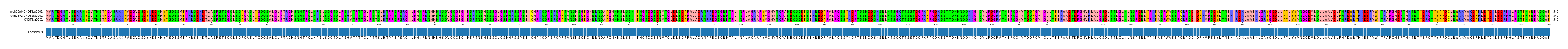 Multiple Alignments (by translate haplotype similarity)
