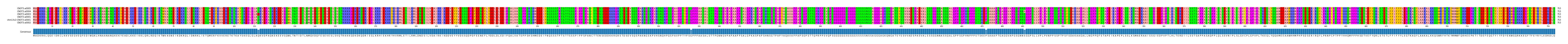 Multiple Alignments (by translate haplotype similarity)