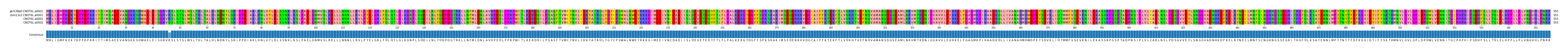 Multiple Alignments (by translate haplotype similarity)