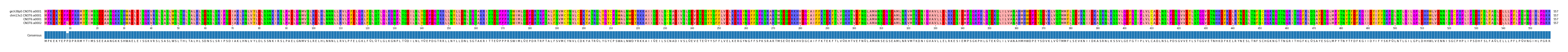 Multiple Alignments (by translate haplotype similarity)