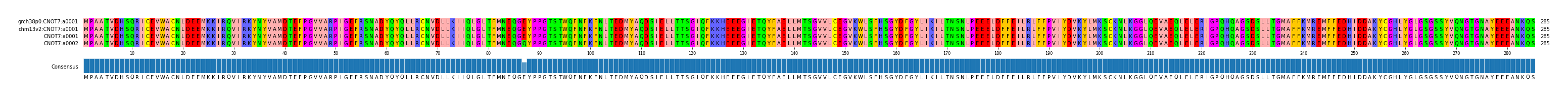 Multiple Alignments (by translate haplotype similarity)