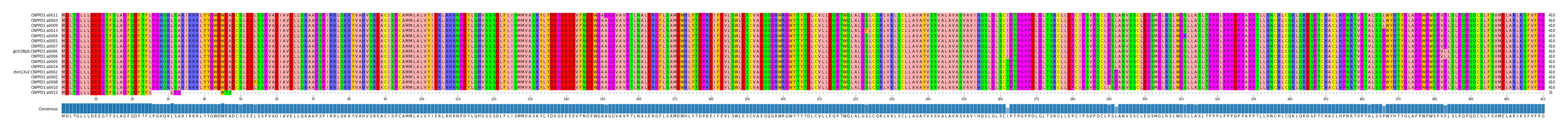 Multiple Alignments (by translate haplotype similarity)
