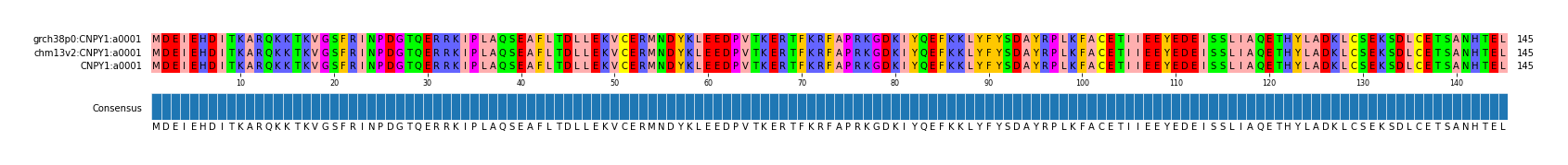 Multiple Alignments (by translate haplotype similarity)