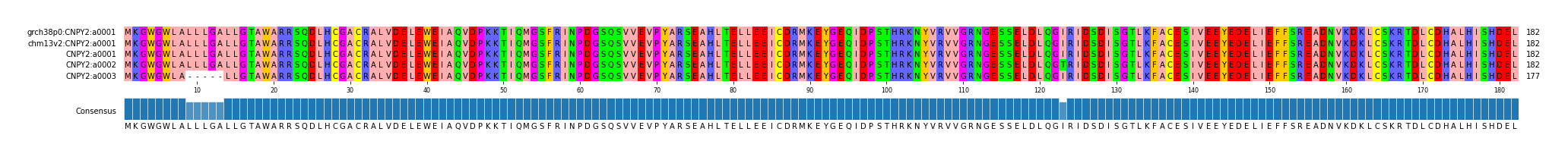 Multiple Alignments (by translate haplotype frequency)