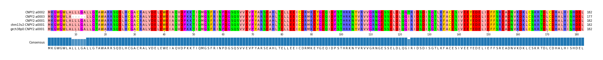 Multiple Alignments (by translate haplotype similarity)