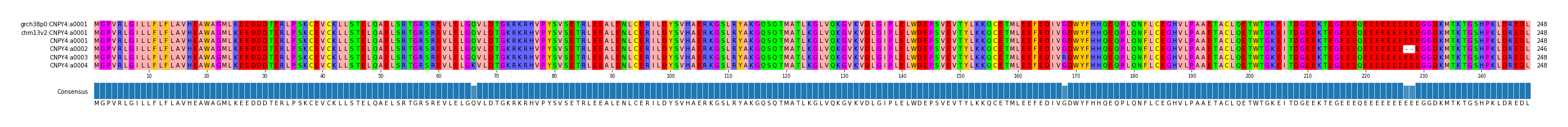 Multiple Alignments (by translate haplotype frequency)