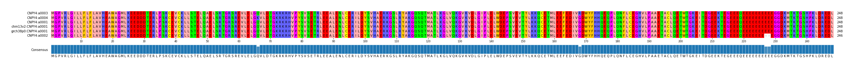 Multiple Alignments (by translate haplotype similarity)