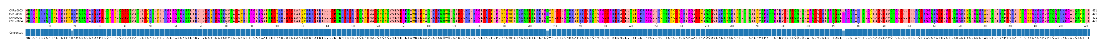 Multiple Alignments (by translate haplotype similarity)