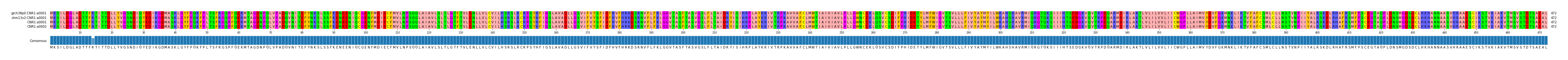 Multiple Alignments (by translate haplotype frequency)