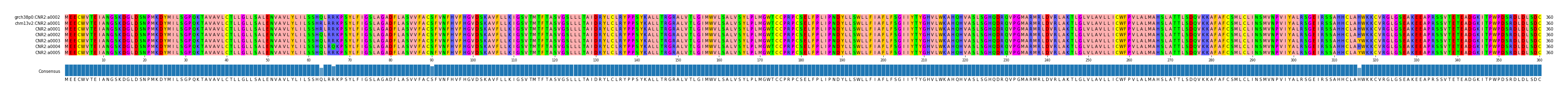 Multiple Alignments (by translate haplotype frequency)
