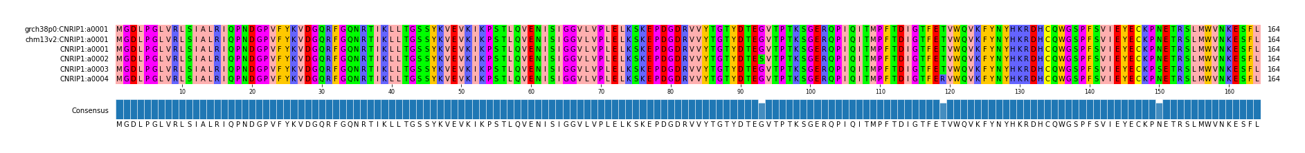 Multiple Alignments (by translate haplotype frequency)