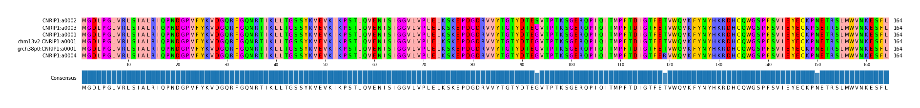 Multiple Alignments (by translate haplotype similarity)