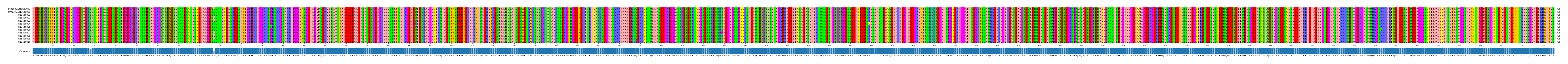 Multiple Alignments (by translate haplotype frequency)