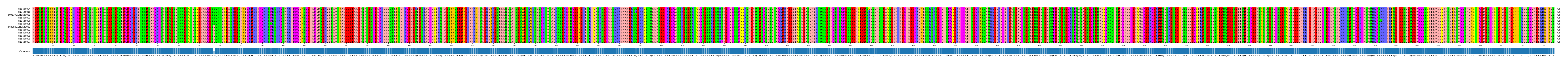 Multiple Alignments (by translate haplotype similarity)