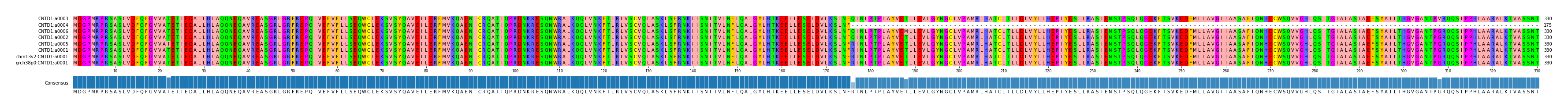 Multiple Alignments (by translate haplotype similarity)