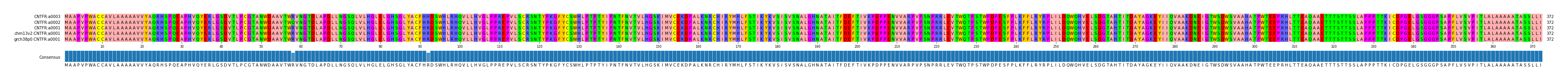 Multiple Alignments (by translate haplotype similarity)
