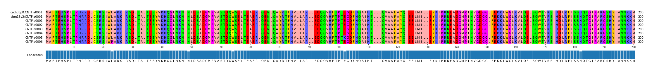 Multiple Alignments (by translate haplotype frequency)