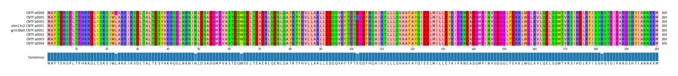Multiple Alignments (by translate haplotype similarity)