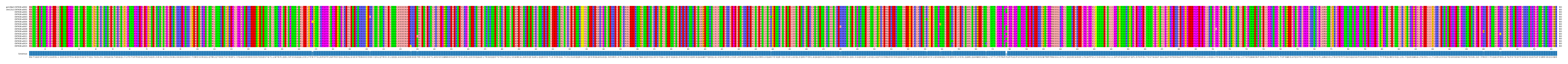Multiple Alignments (by translate haplotype frequency)